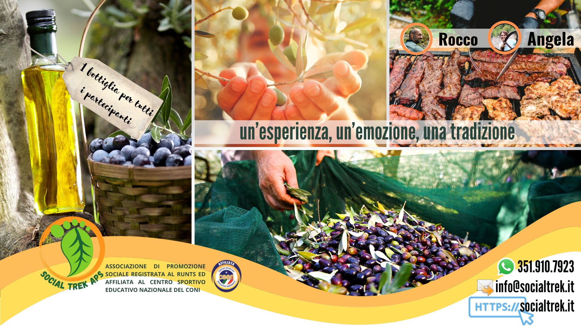 LA RACCOLTA DELLE OLIVE