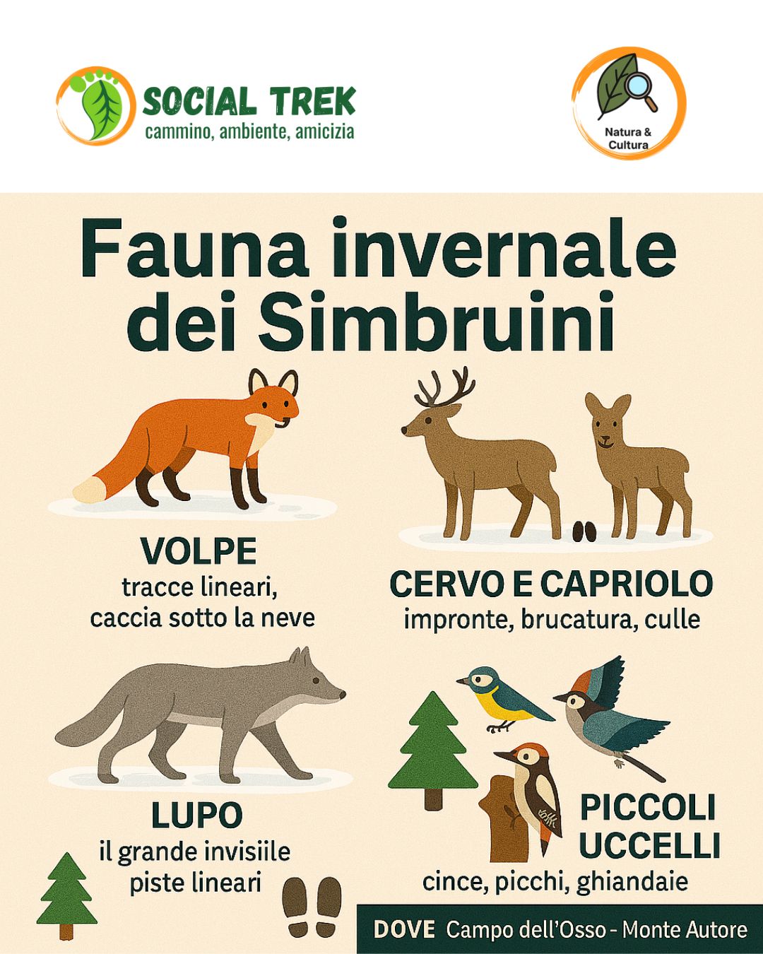 fauna invernale Monti Simbruini